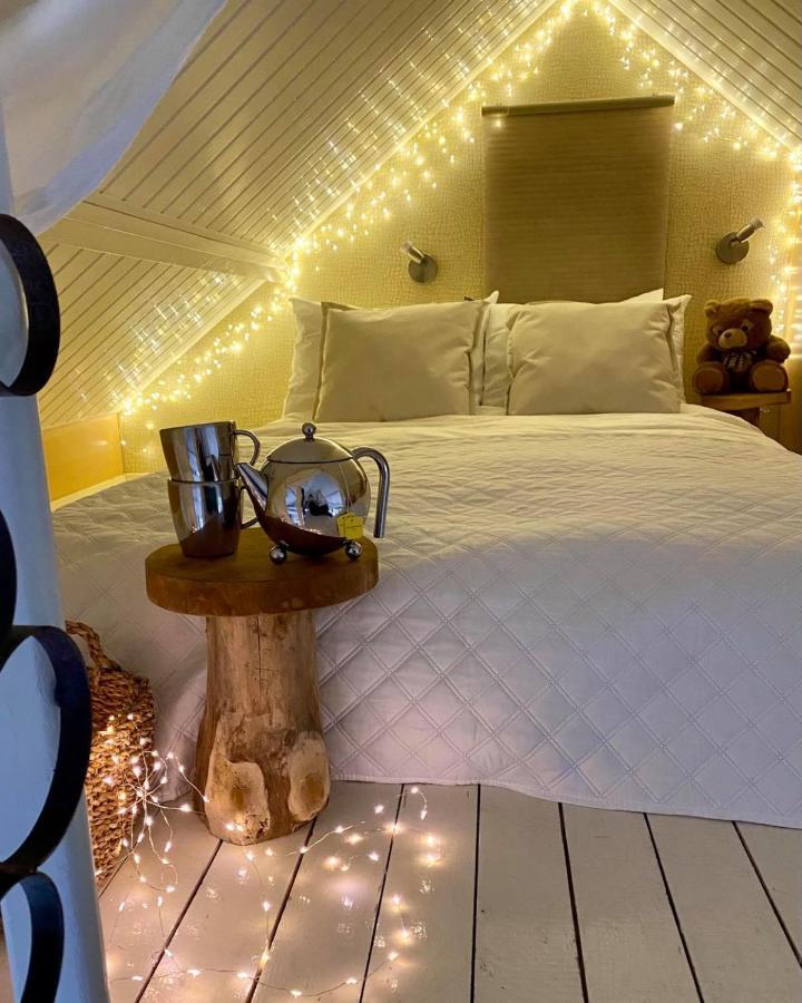 Casa De Palmas - Tiny House Villa Alkmaar Dış mekan fotoğraf